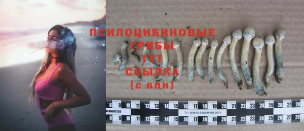таблы Абинск