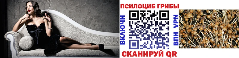 Галлюциногенные грибы Psilocybine cubensis  Брюховецкая 